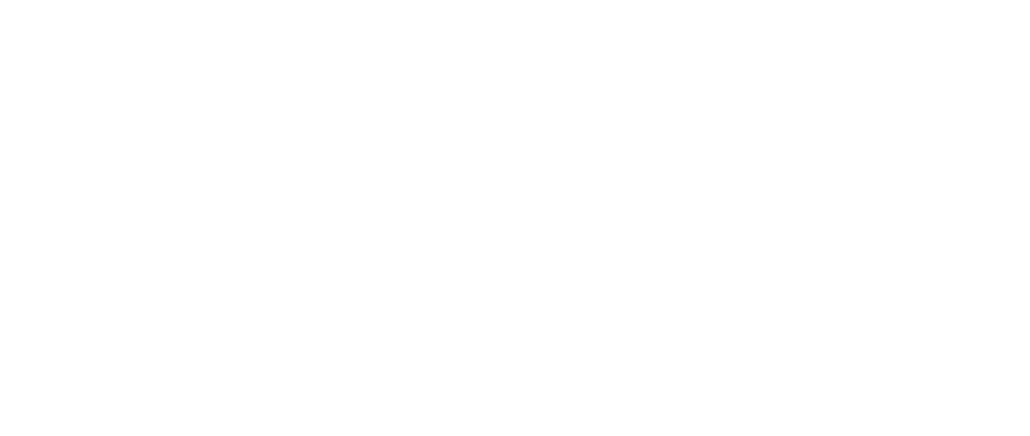Almacenes Paraíso