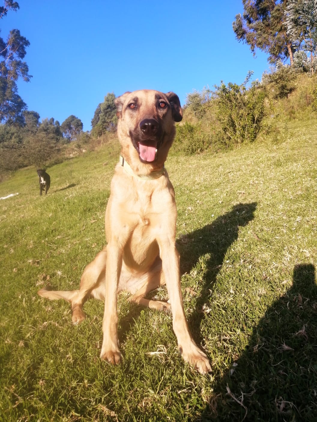 SAMY